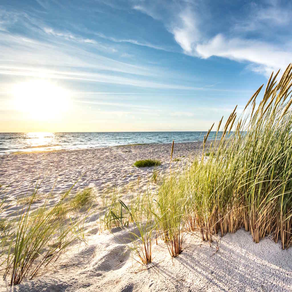 Blick auf den Strand mit Sonnenuntergang und Seegras